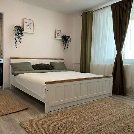 Carol Apartament'S Тимишоара Екстериор снимка