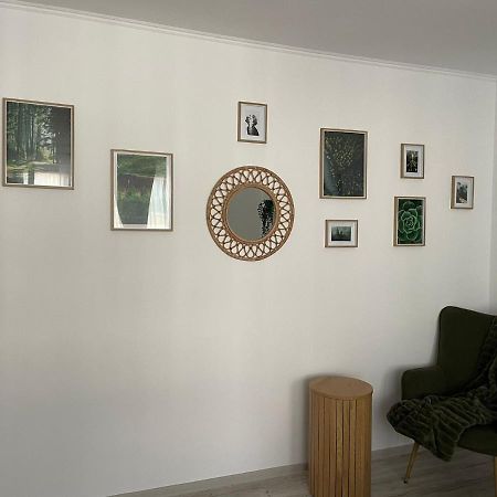 Carol Apartament'S Тимишоара Екстериор снимка