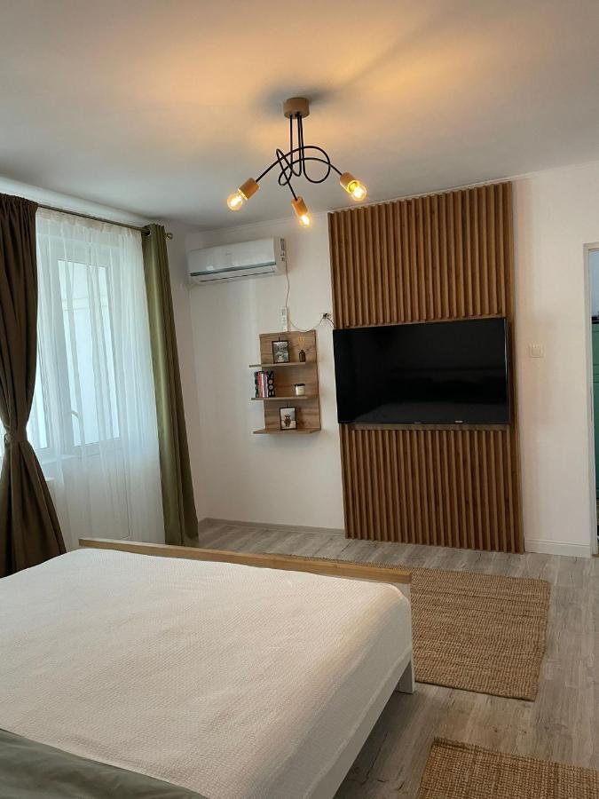 Carol Apartament'S Тимишоара Екстериор снимка