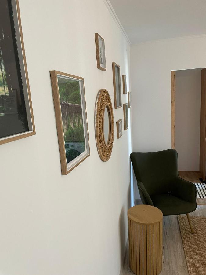 Carol Apartament'S Тимишоара Екстериор снимка