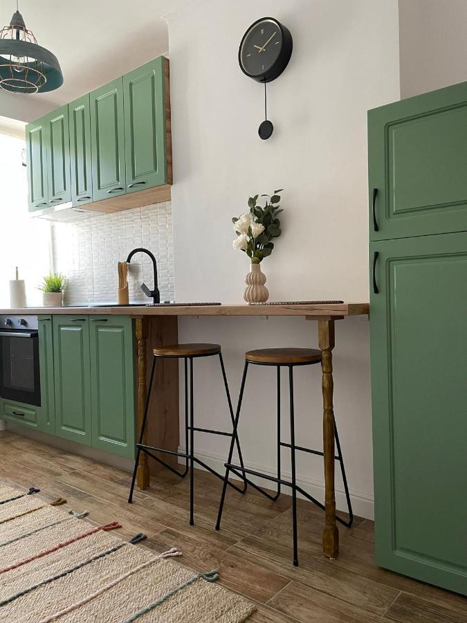Carol Apartament'S Тимишоара Екстериор снимка