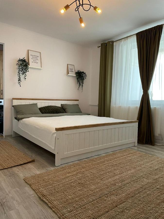 Carol Apartament'S Тимишоара Екстериор снимка