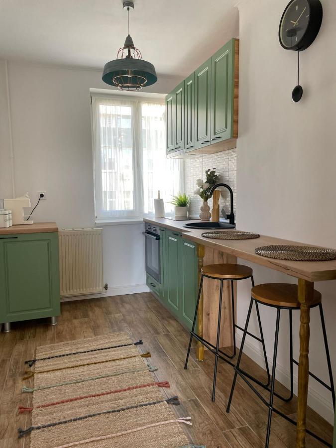 Carol Apartament'S Тимишоара Екстериор снимка