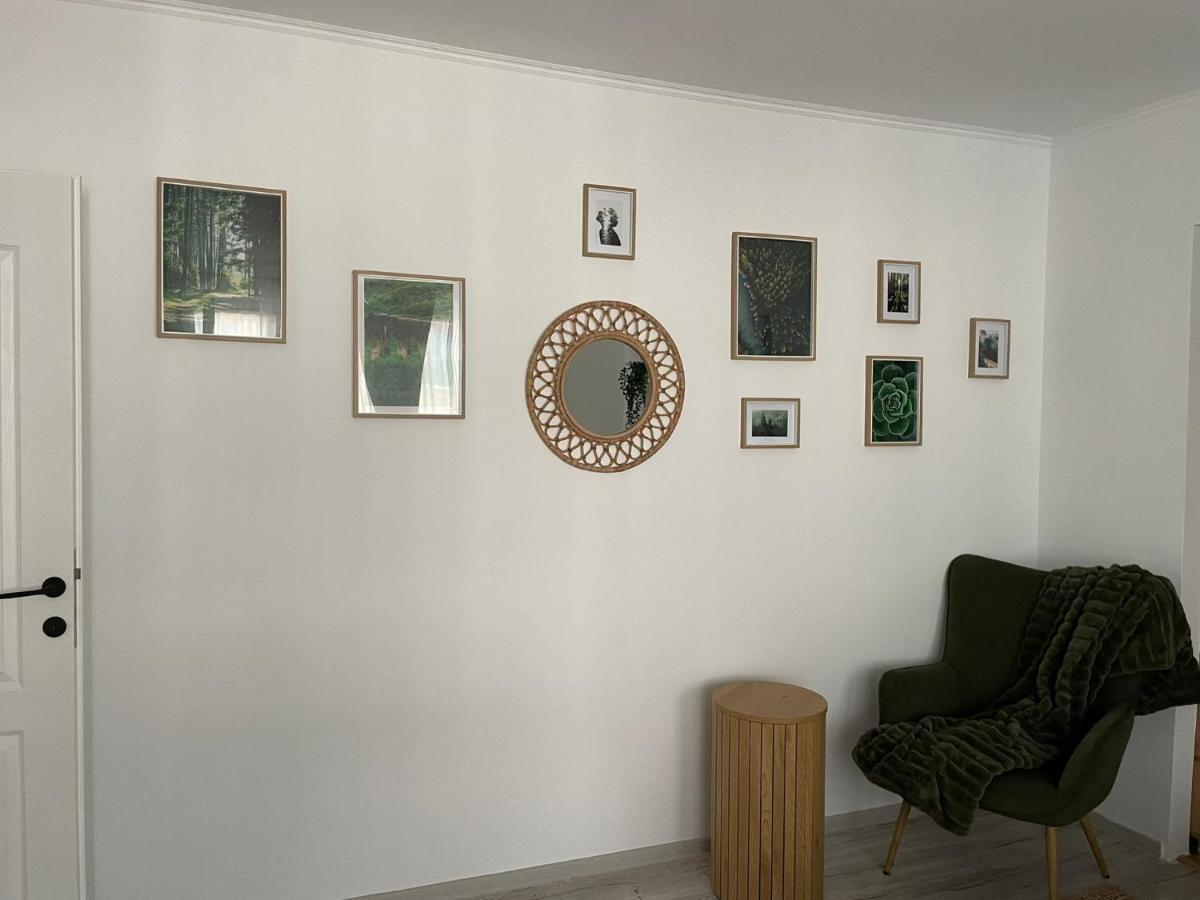 Carol Apartament'S Тимишоара Екстериор снимка